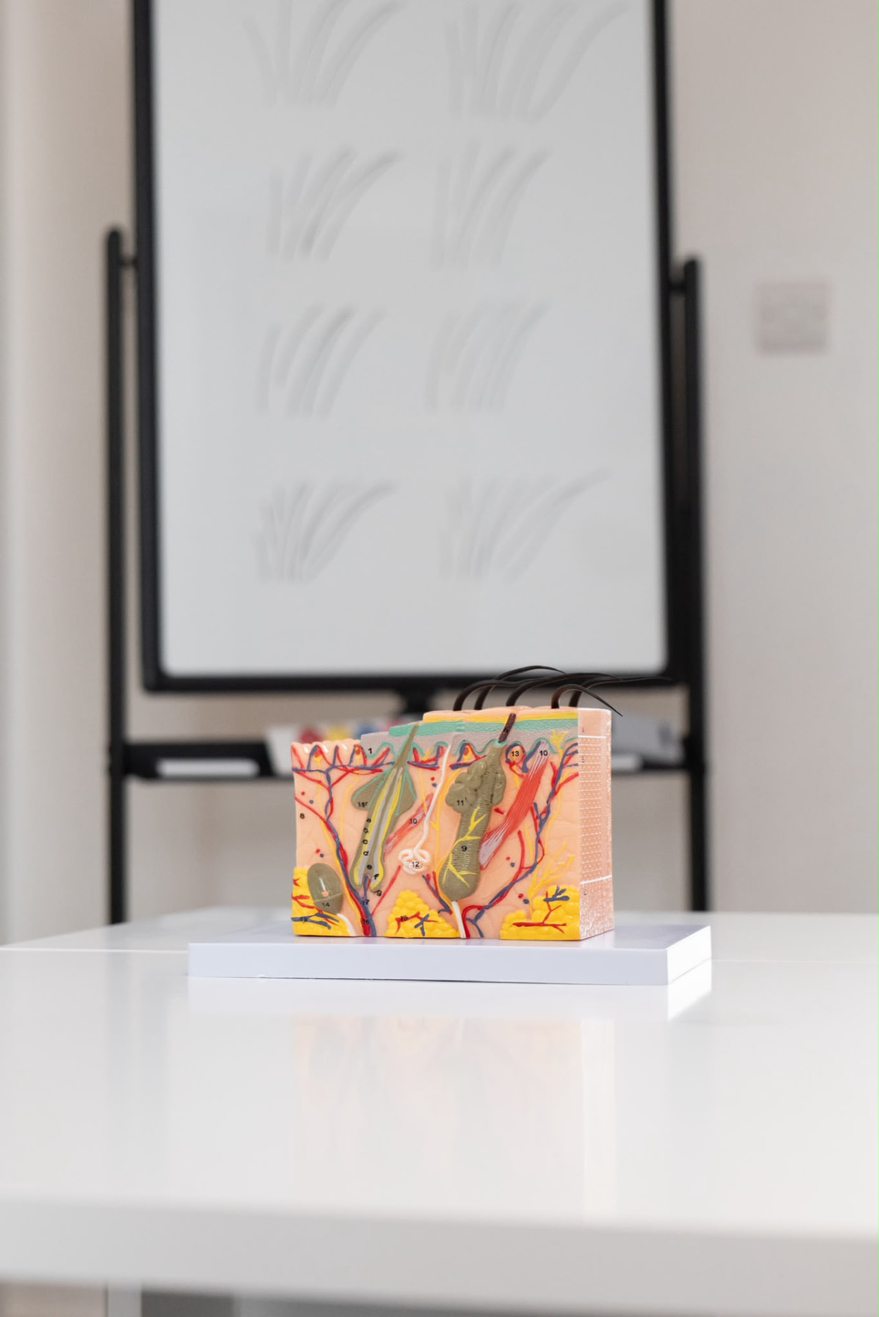Jade demonstrating brow patterns on a whiteboard during training